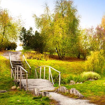 狗万manbet手机app下载